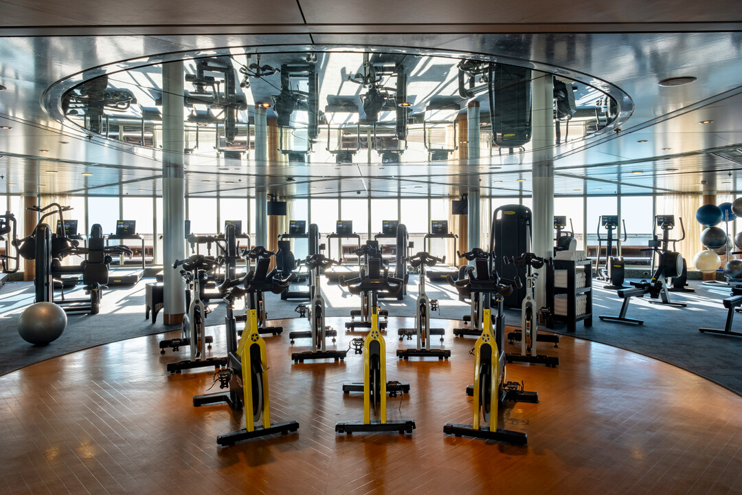 The Gym