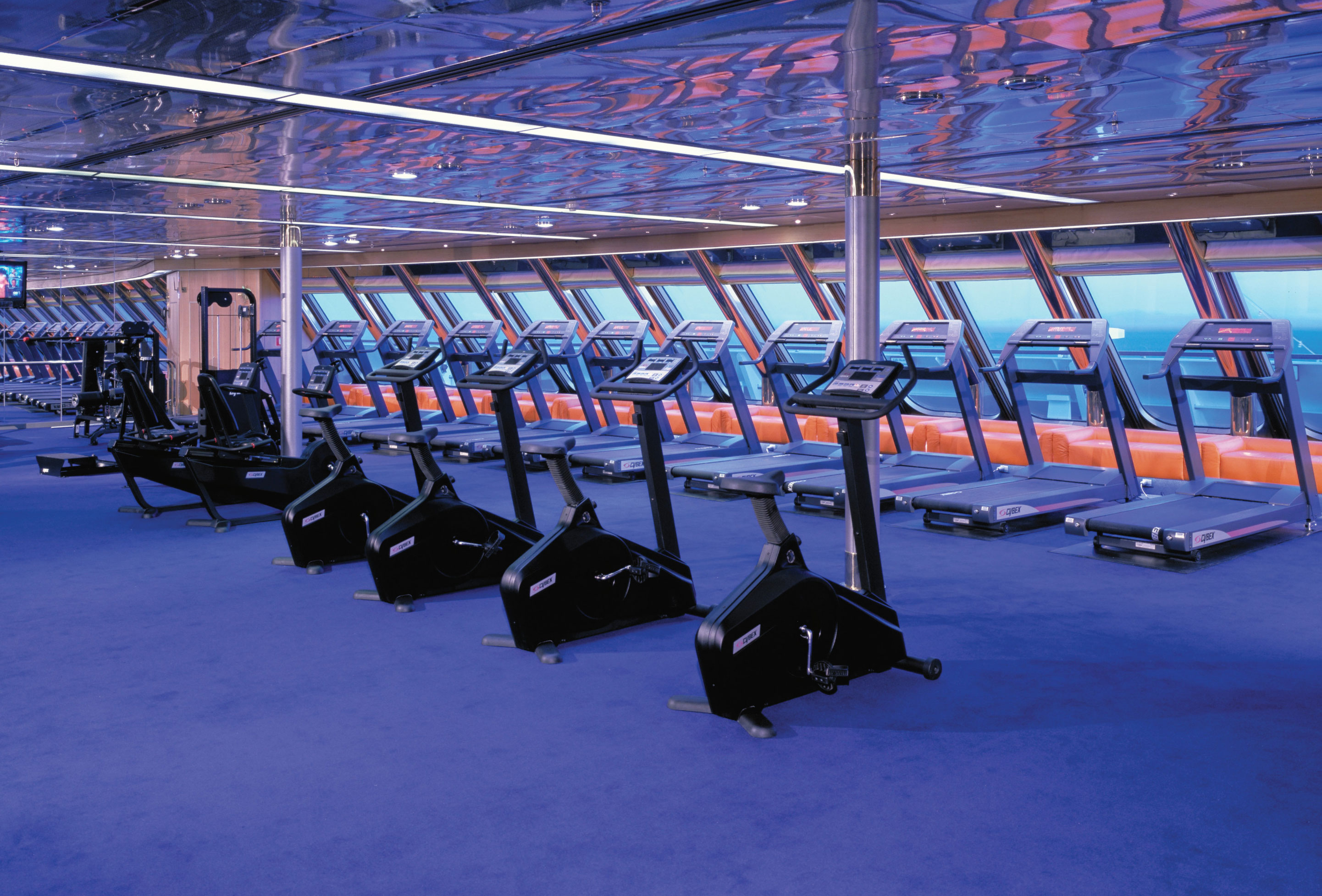 The gym