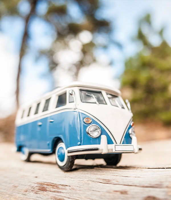 Shore Excursions