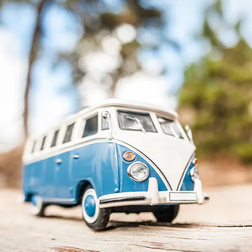 Shore Excursions