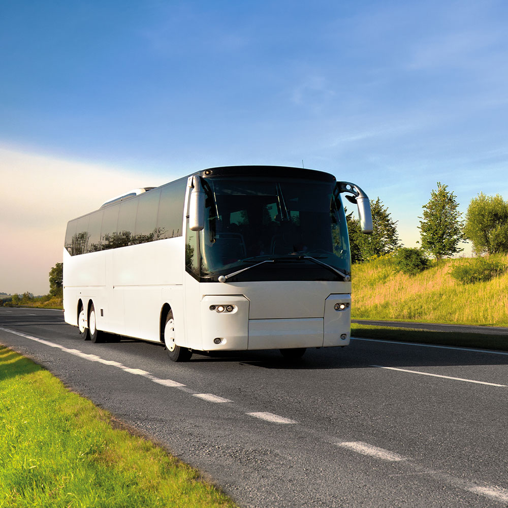 Southampton Coach Transfers