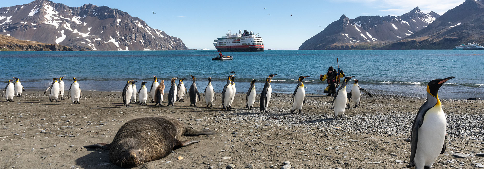 HX Expeditions MS Fram Cruise Ship