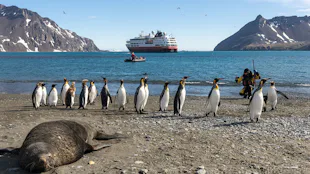 HX Expeditions MS Fram Cruise Ship