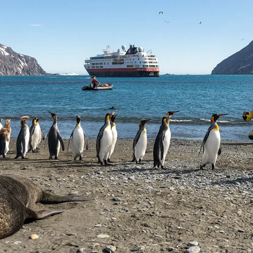 HX Expeditions MS Fram Cruise Ship