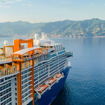 Celebrity Edge Magic Carpet