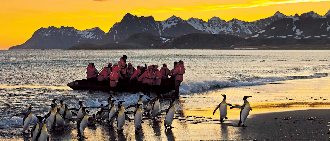 Polar Zodiac Excursion