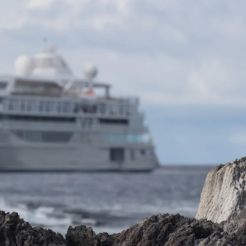 Silversea Silver Origin Galapagos with a Blue-Footed Booby
