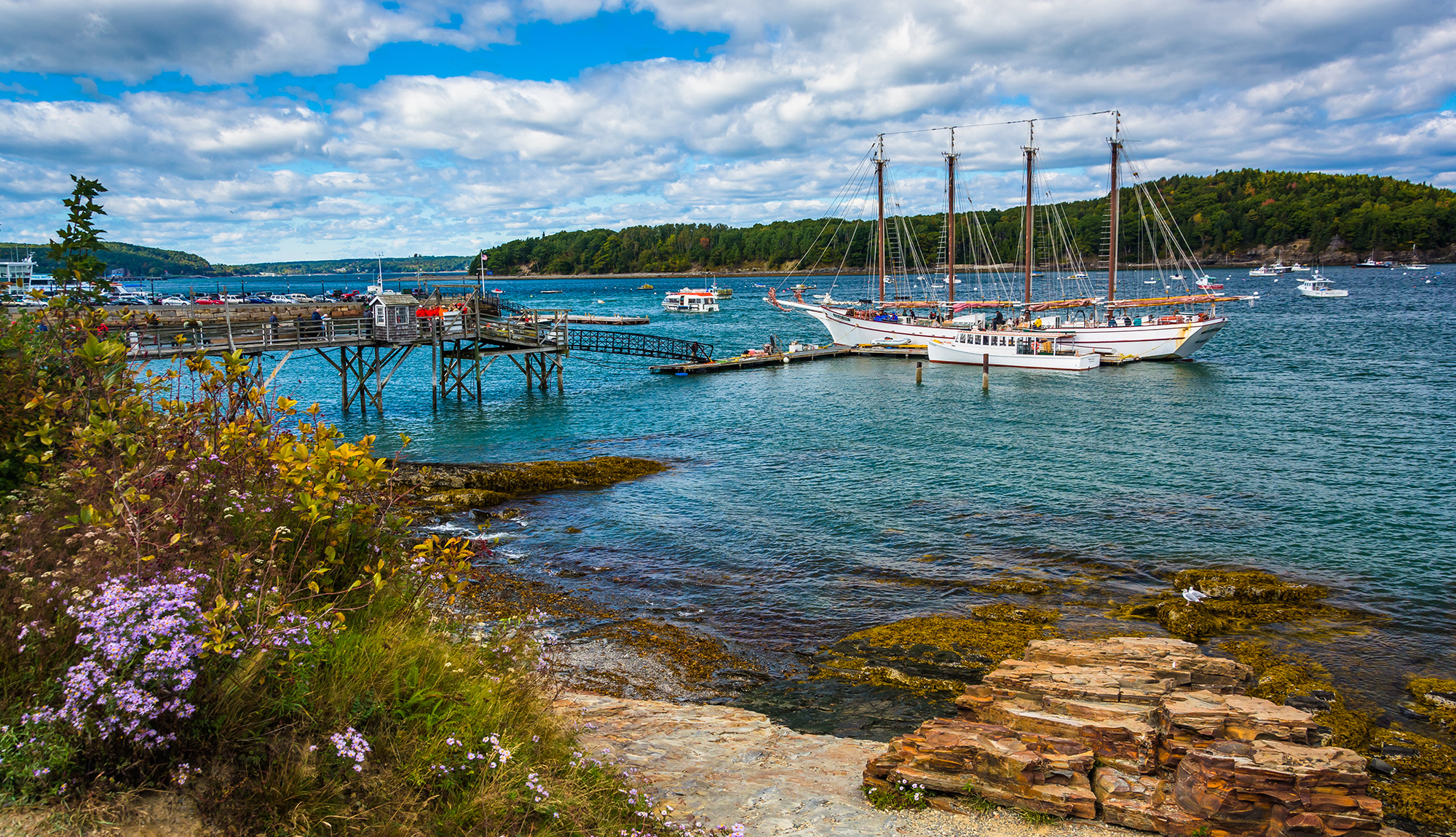 Bar Harbor Marina