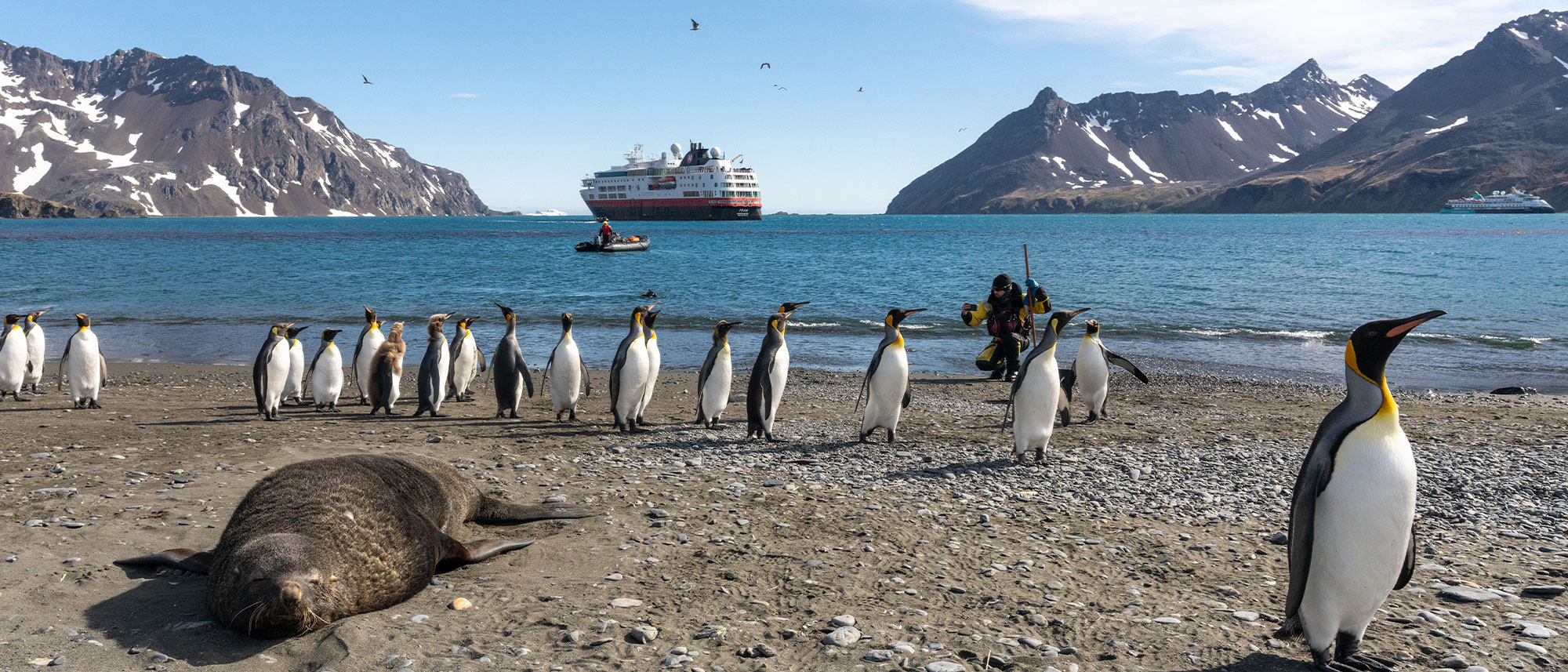 MS Fram at Fortuna Bay, South Georgia