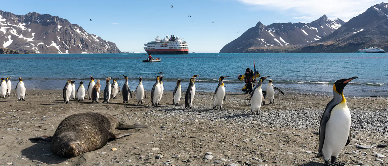 MS Fram at Fortuna Bay, South Georgia