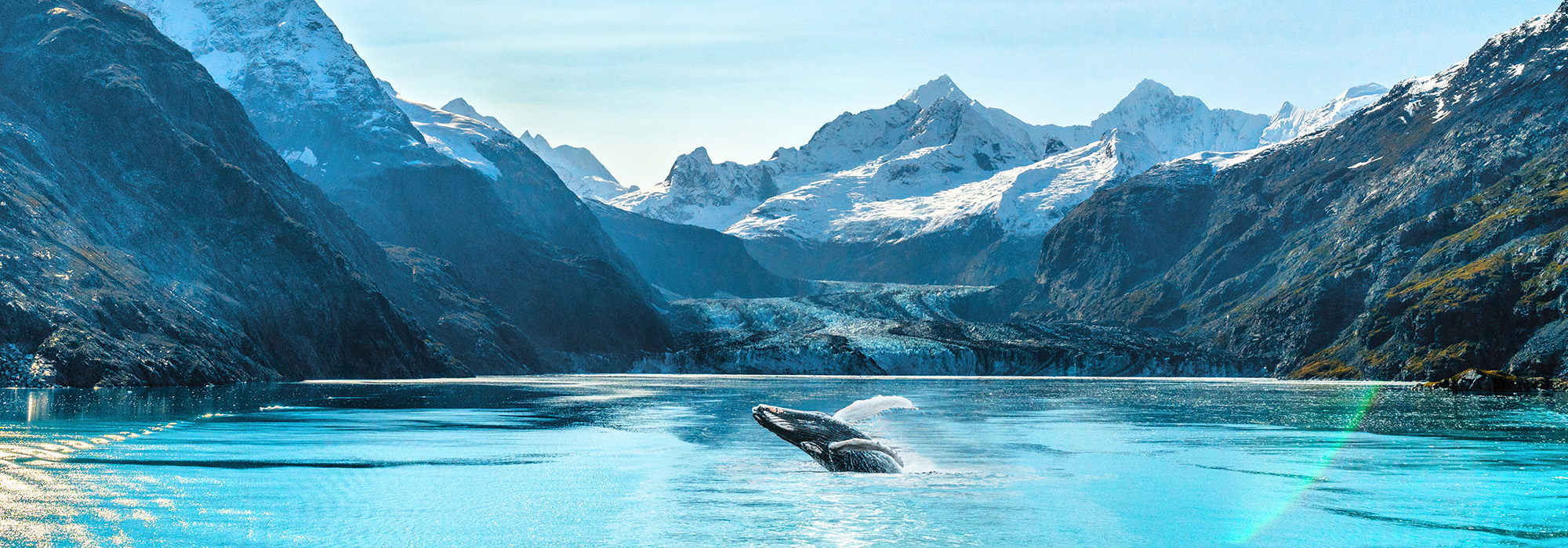 Discover the majesty of the Alaskan wilderness