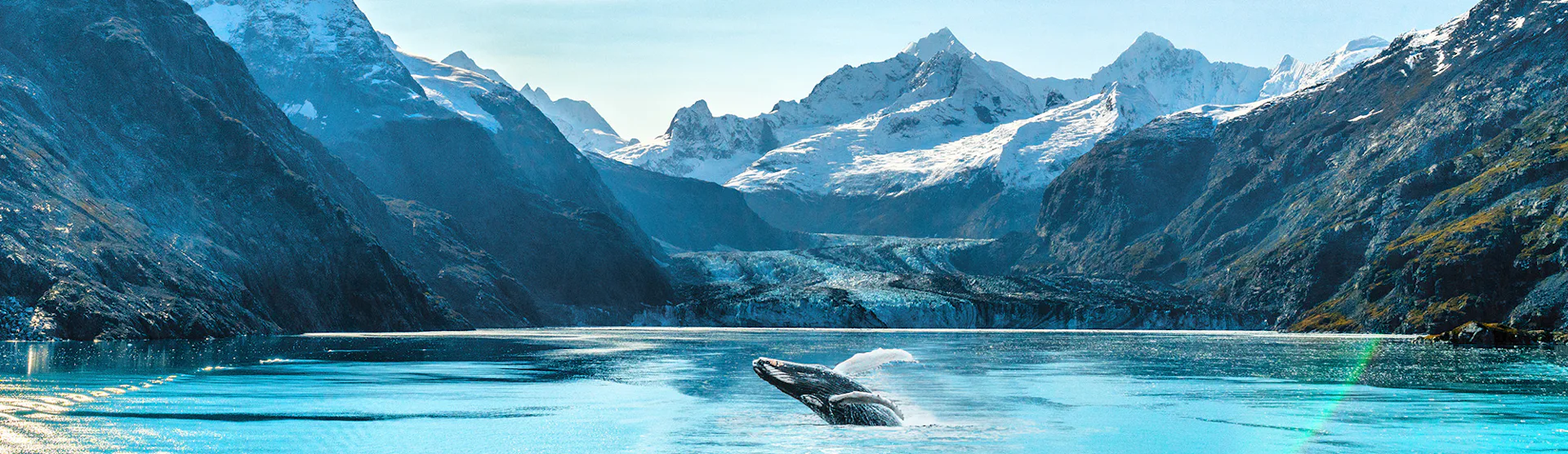 Discover the majesty of the Alaskan wilderness