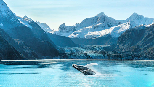 Discover the majesty of the Alaskan wilderness