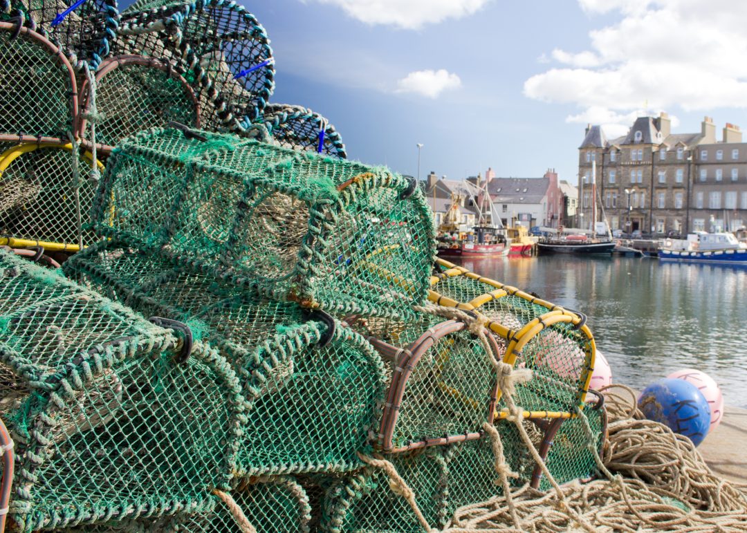 Lobster pots stacked on the dock in Kirkwall, Orkney Islands