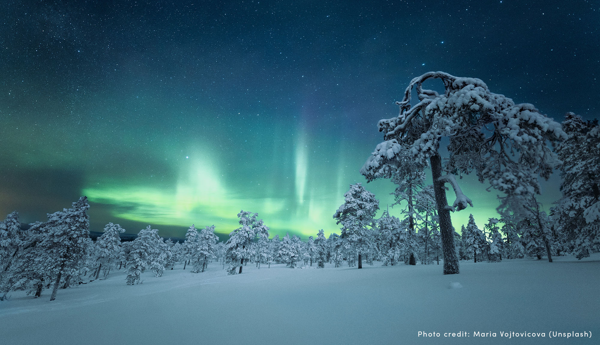 A snowy scene in Lapland, under the glow of the Northern Lights