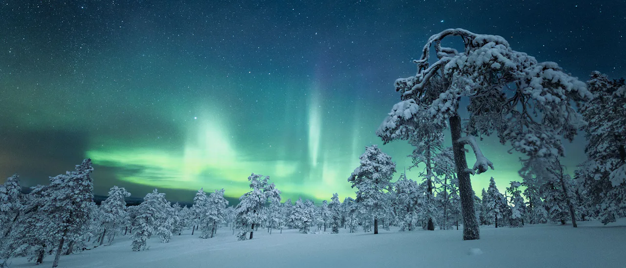 A snowy scene in Lapland, under the glow of the Northern Lights