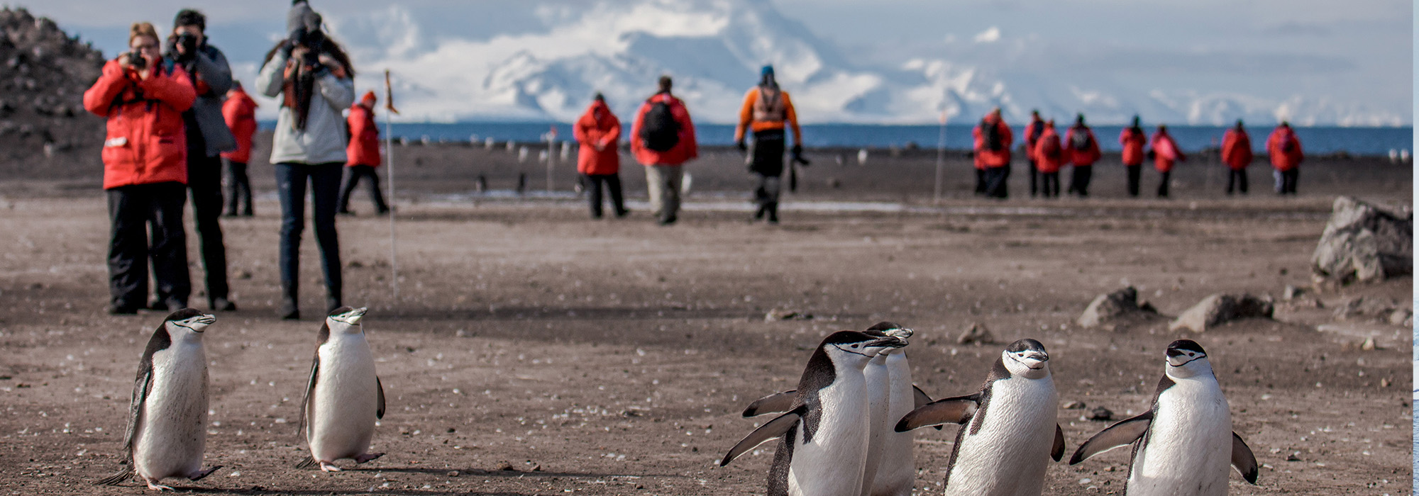 G Adventures Expedition cruises to Antarctica, Arctic & Galapagos