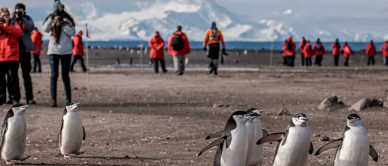 G Adventures Expedition cruises to Antarctica, Arctic & Galapagos