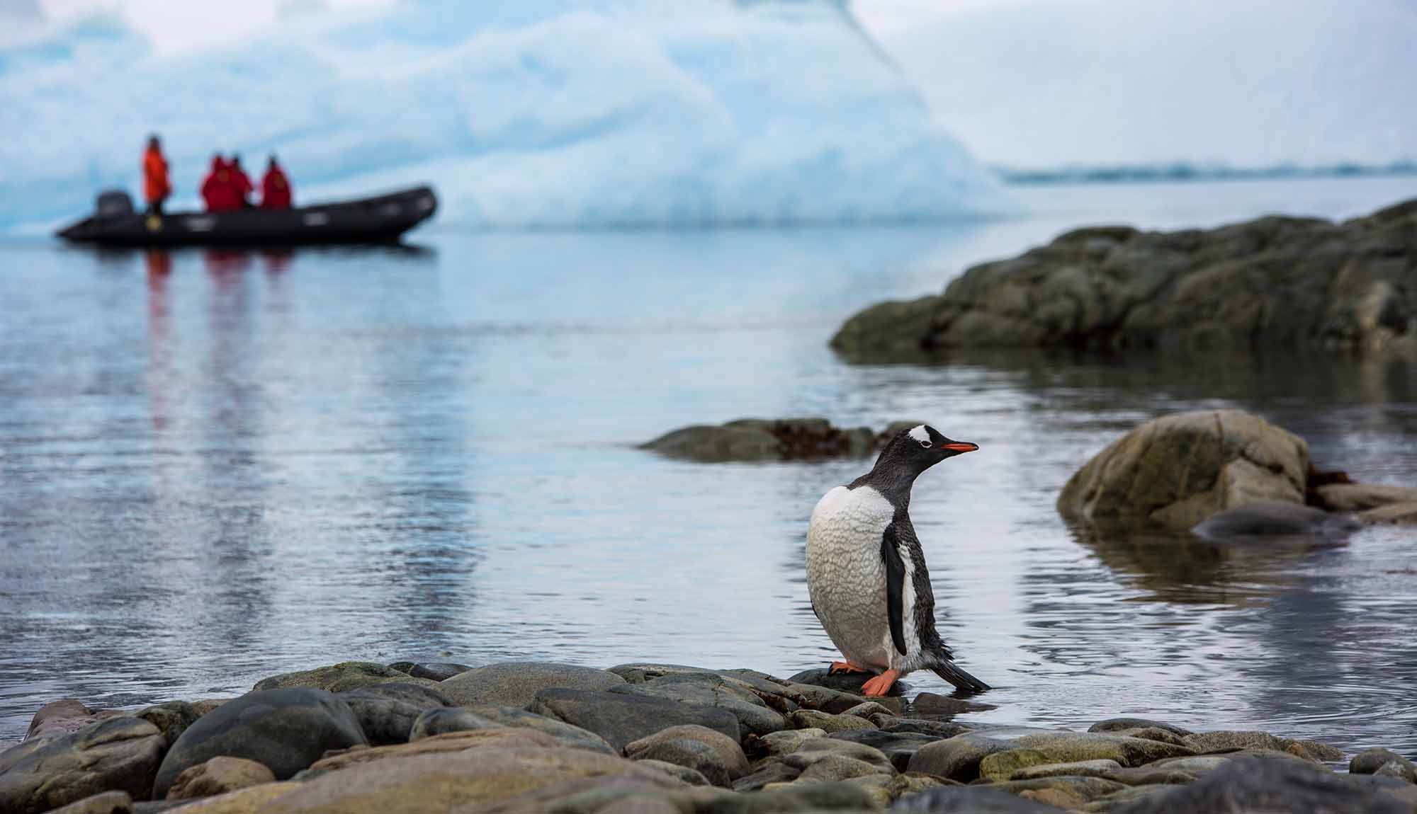 G Adventures Expedition Wildlife experiences
