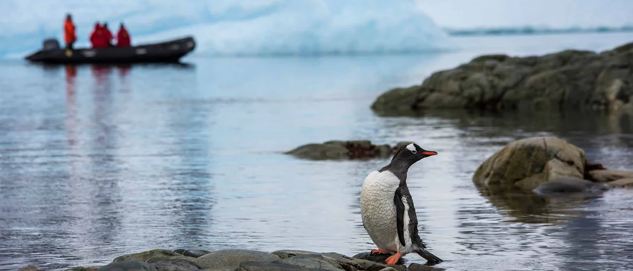 G Adventures Expedition Wildlife experiences