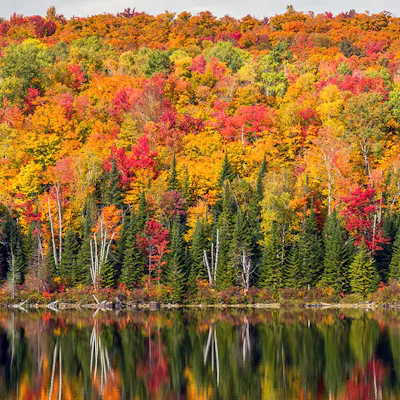 Canada Autumn Colours