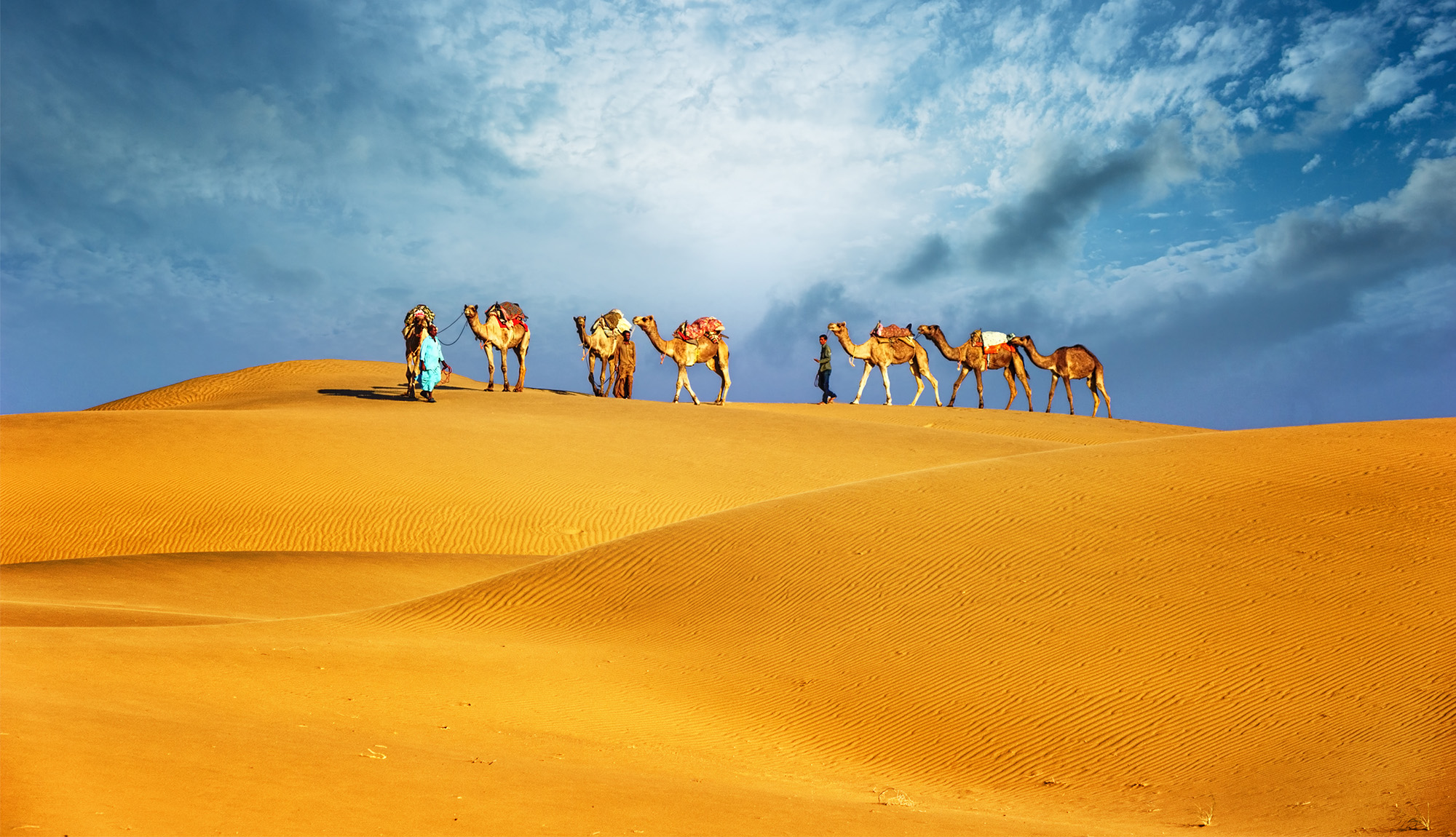 Dubai Desert