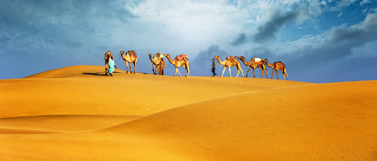 Dubai Desert