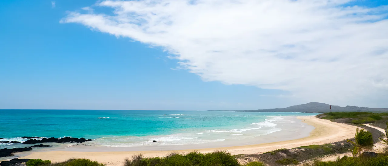Isabela Island, Galapagos