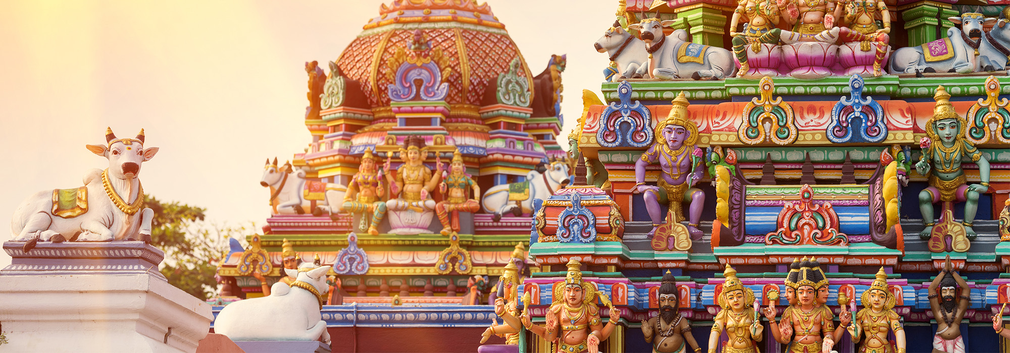 Chennai -  Kapaleeshwarar Temple