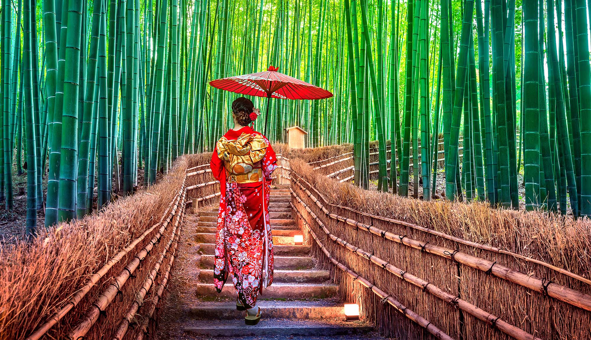 Kyoto Bamboo Forest