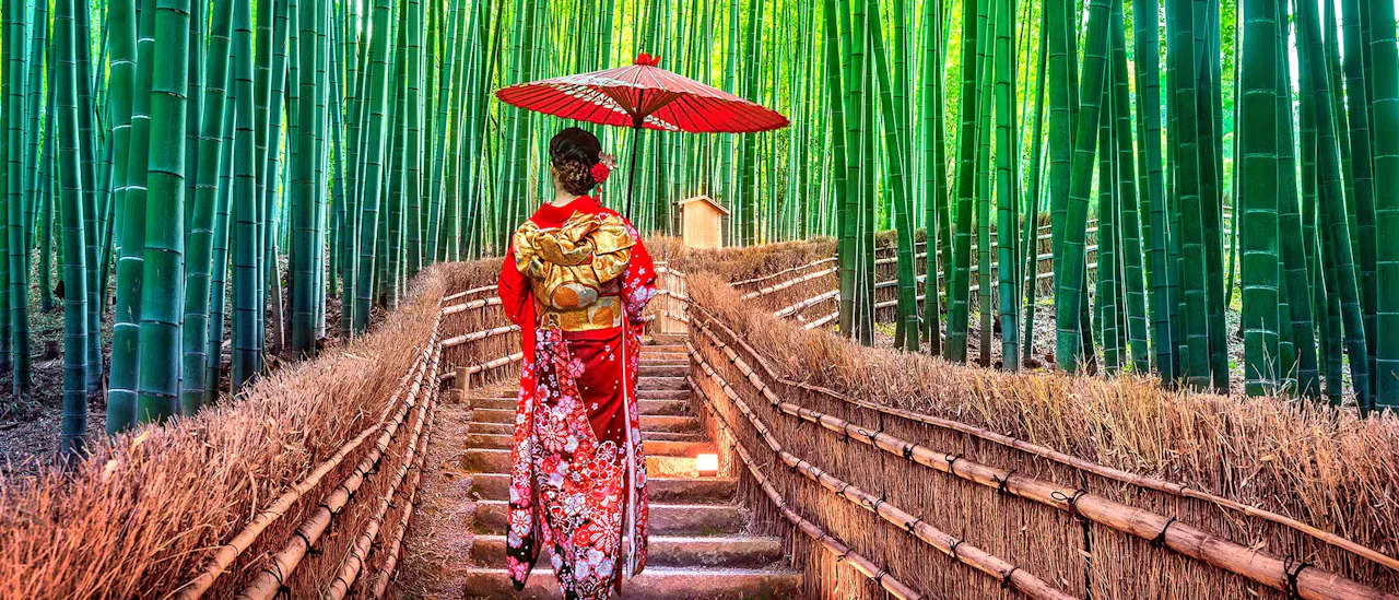 Kyoto Bamboo Forest