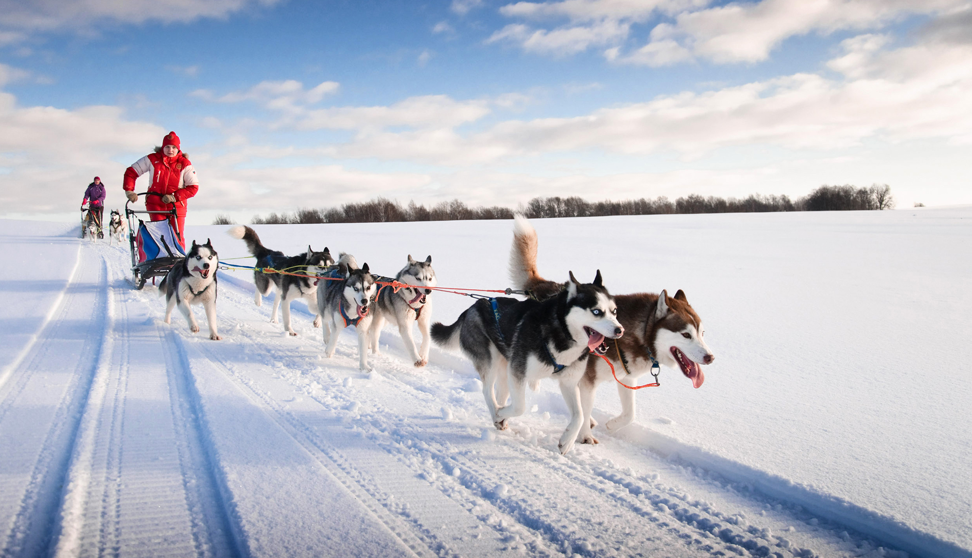 Husky Sleigh Norway