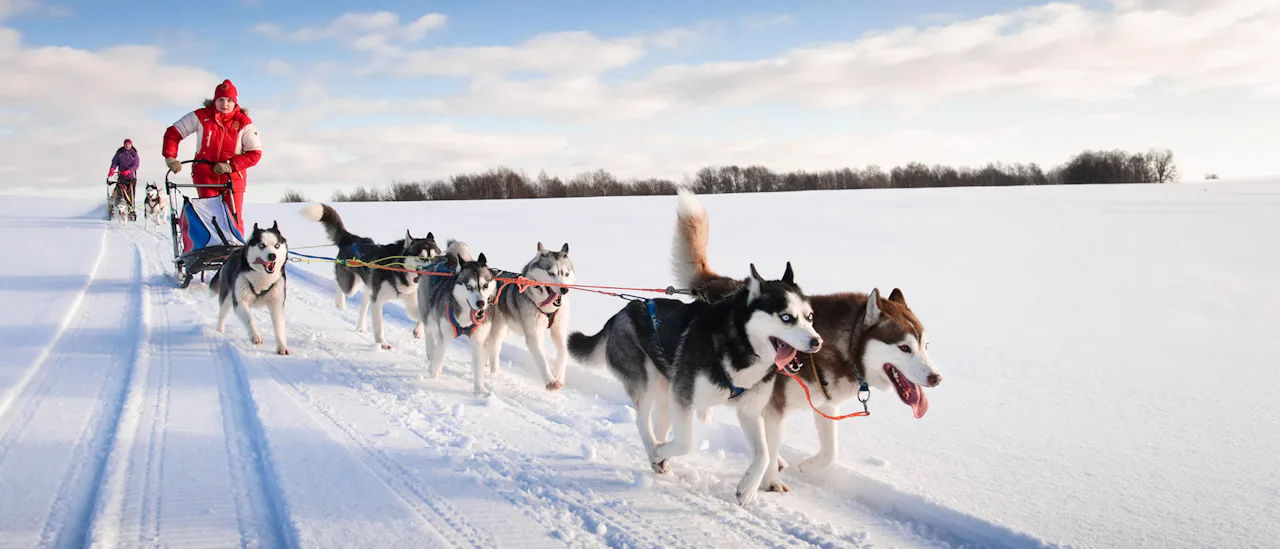 Husky Sleigh Norway