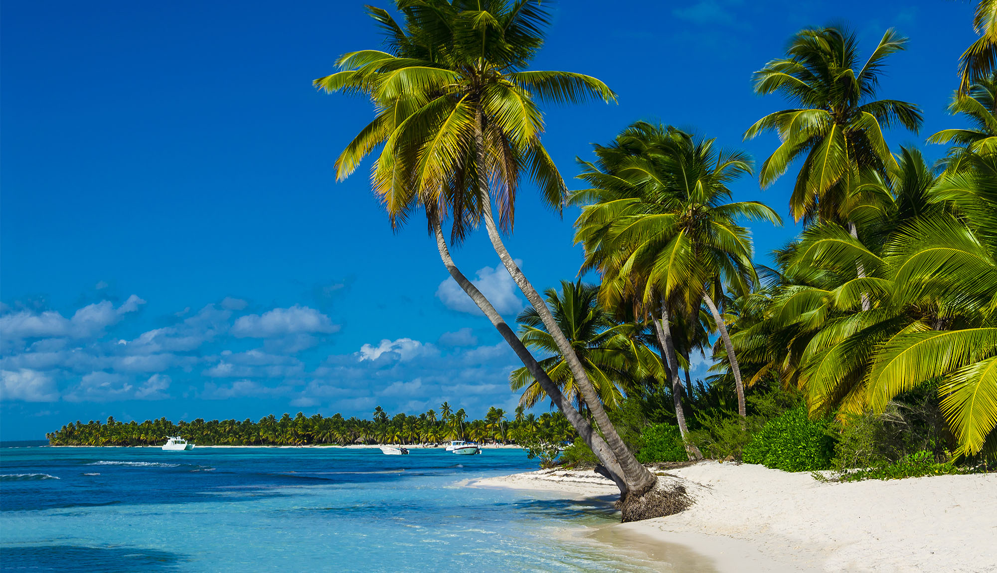 Caribbean Beach