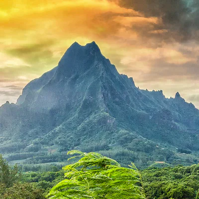 Moorea Tahiti